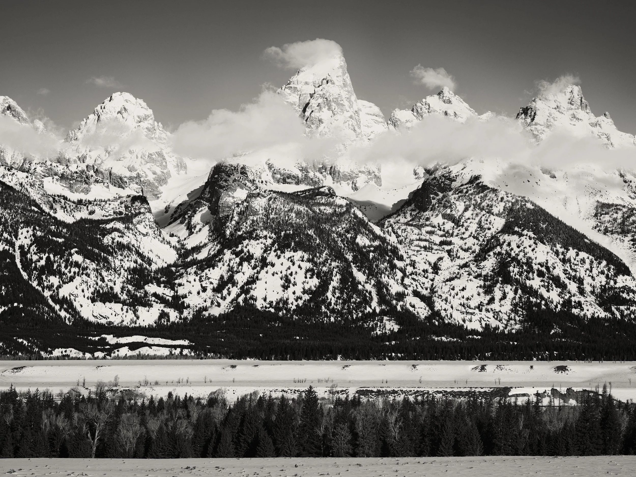 New Work — Nathan Coe Photography
